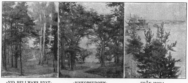 Illustration, sida 414