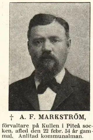 Illustration ur Hvar 8 dag – Årg. 4 (1902/1903) (1903), sida 421