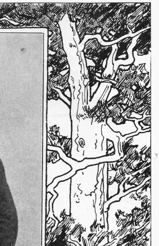 Illustration ur Hvar 8 dag – Årg. 4 (1902/1903) (1903), sida 430