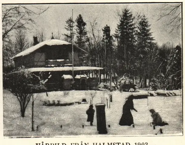 Illustration ur Hvar 8 dag – Årg. 4 (1902/1903) (1903), sida 504