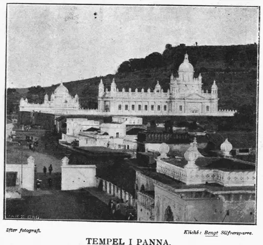 Illustration ur Hvar 8 dag – Årg. 4 (1902/1903) (1903), sida 505