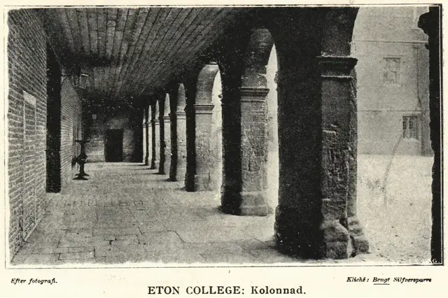 Illustration ur Hvar 8 dag – Årg. 4 (1902/1903) (1903), sida 513
