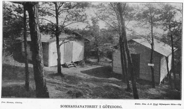 Illustration ur Hvar 8 dag – Årg. 4 (1902/1903) (1903), sida 822