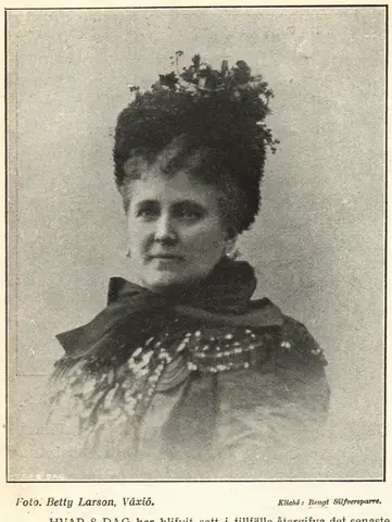 Illustration ur Hvar 8 dag – Årg. 5 (1903/1904) (1904), sida 72