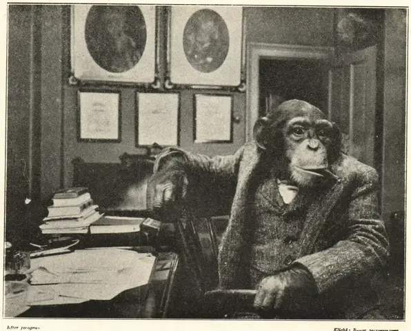 Illustration, sida 206