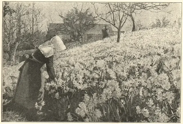 Illustration, sida 210