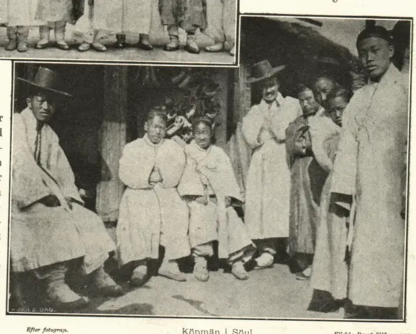 Illustration, sida 244