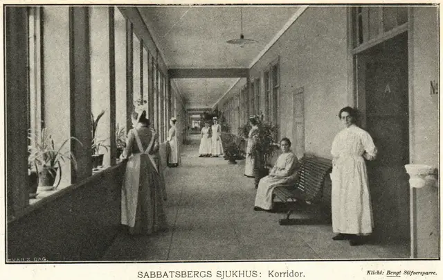 Illustration ur Hvar 8 dag – Årg. 5 (1903/1904) (1904), sida 287