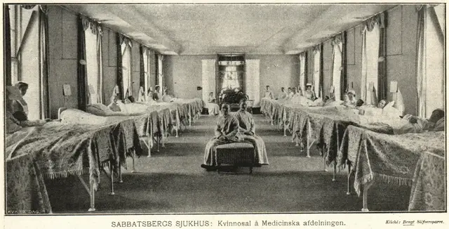 Illustration ur Hvar 8 dag – Årg. 5 (1903/1904) (1904), sida 287