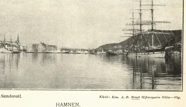 Illustration ur Hvar 8 dag – Årg. 5 (1903/1904) (1904), sida 301