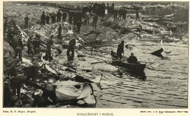 Illustration ur Hvar 8 dag – Årg. 5 (1903/1904) (1904), sida 368