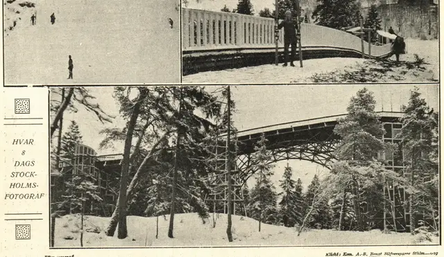 Illustration ur Hvar 8 dag – Årg. 5 (1903/1904) (1904), sida 370