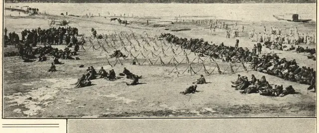Illustration, sida 531