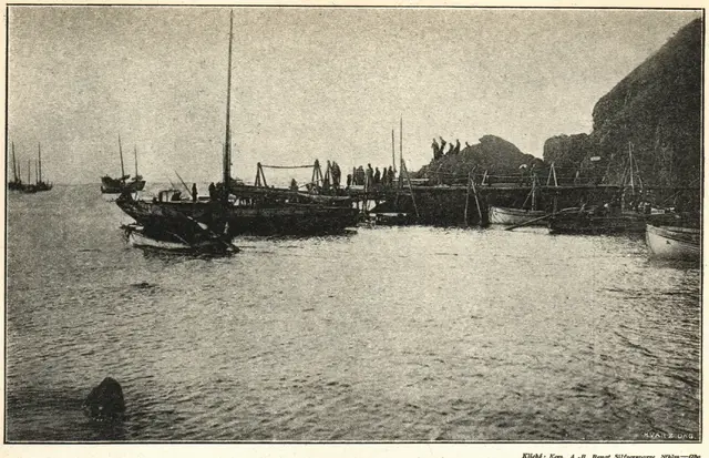 Illustration ur Hvar 8 dag – Årg. 5 (1903/1904) (1904), sida 577
