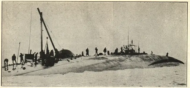 Illustration ur Hvar 8 dag – Årg. 5 (1903/1904) (1904), sida 594