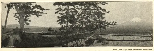 Illustration ur Hvar 8 dag – Årg. 5 (1903/1904) (1904), sida 655