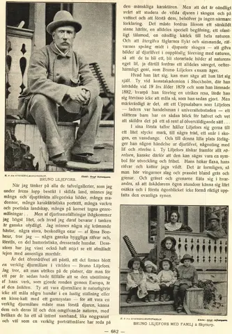 Illustration ur Hvar 8 dag – Årg. 5 (1903/1904) (1904), sida 700