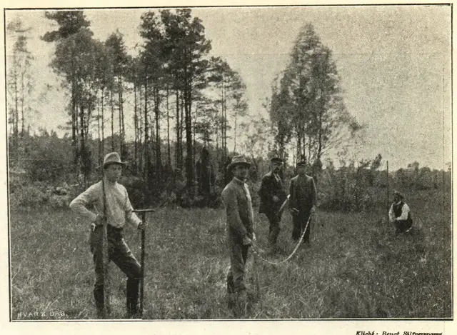 Illustration, sida 734