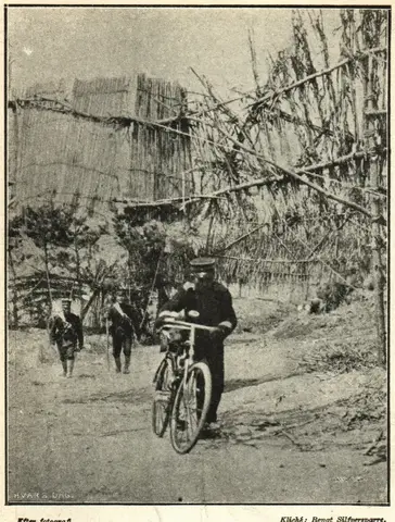 Illustration, sida 739