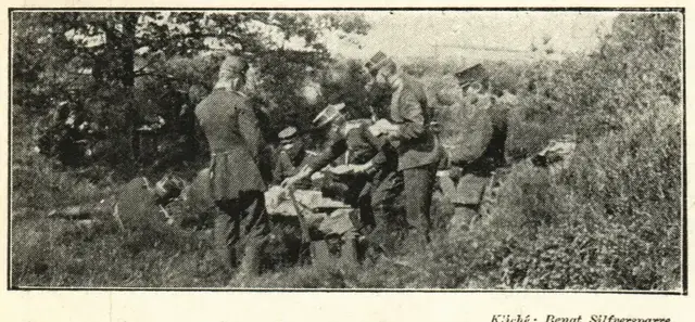 Illustration, sida 799