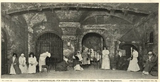 Illustration, sida 848