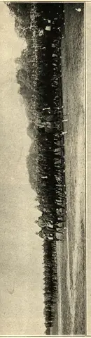 Illustration, sida 41