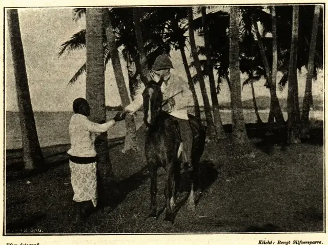 Illustration ur Hvar 8 dag – Årg. 6 (1904/1905) (1905), sida 66