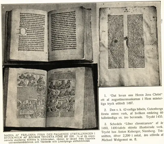 Illustration ur Hvar 8 dag – Årg. 6 (1904/1905) (1905), sida 210
