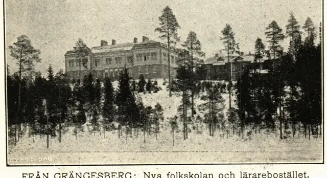 Illustration, sida 215