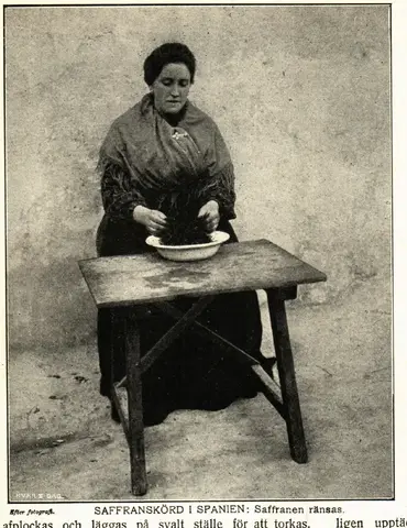 Illustration, sida 221