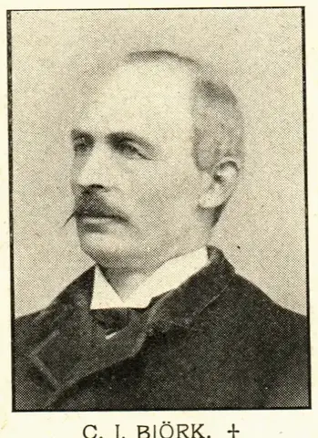 Illustration ur Hvar 8 dag – Årg. 6 (1904/1905) (1905), sida 273