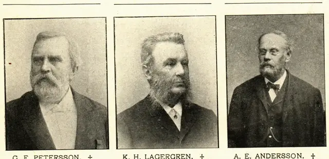 Illustration ur Hvar 8 dag – Årg. 6 (1904/1905) (1905), sida 273