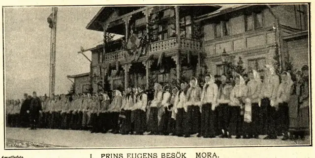 Illustration, sida 294