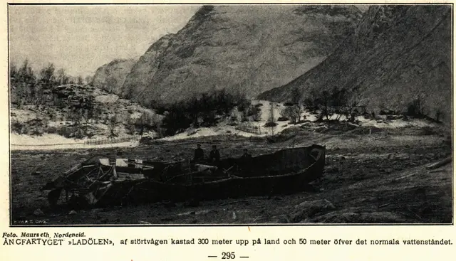 Illustration, sida 311