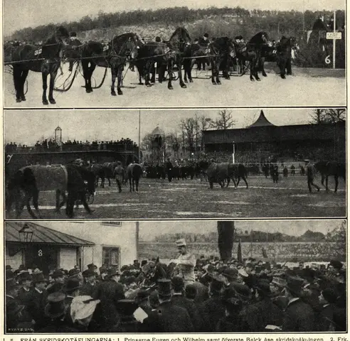 Illustration ur Hvar 8 dag – Årg. 6 (1904/1905) (1905), sida 345