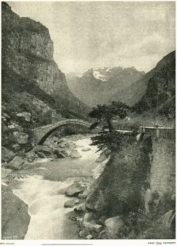 Illustration ur Hvar 8 dag – Årg. 6 (1904/1905) (1905), sida 433