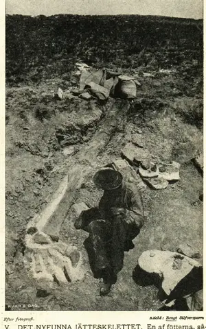Illustration ur Hvar 8 dag – Årg. 6 (1904/1905) (1905), sida 448
