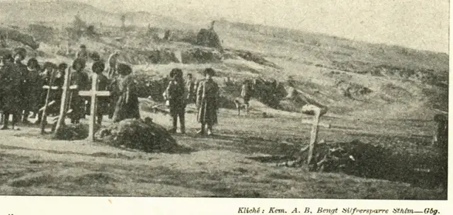 Illustration, sida 485