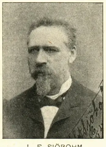Illustration ur Hvar 8 dag – Årg. 6 (1904/1905) (1905), sida 486