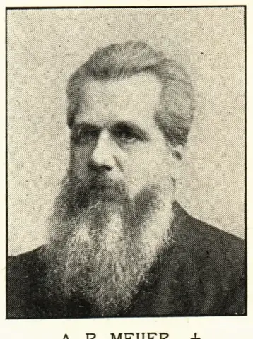 Illustration ur Hvar 8 dag – Årg. 6 (1904/1905) (1905), sida 533