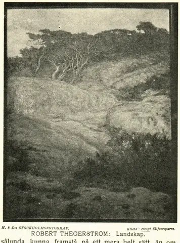 Illustration, sida 553
