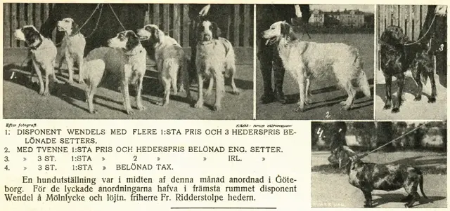 Illustration, sida 563
