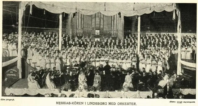 Illustration ur Hvar 8 dag – Årg. 6 (1904/1905) (1905), sida 619
