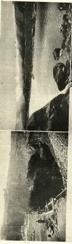Illustration ur Hvar 8 dag – Årg. 6 (1904/1905) (1905), sida 651
