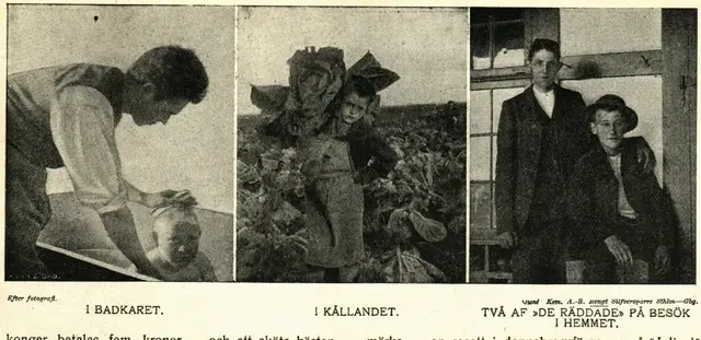Illustration ur Hvar 8 dag – Årg. 6 (1904/1905) (1905), sida 781