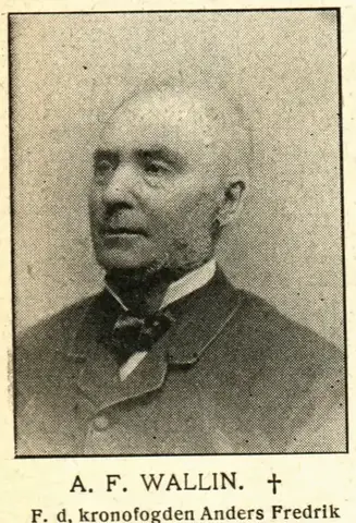 Illustration ur Hvar 8 dag – Årg. 6 (1904/1905) (1905), sida 853