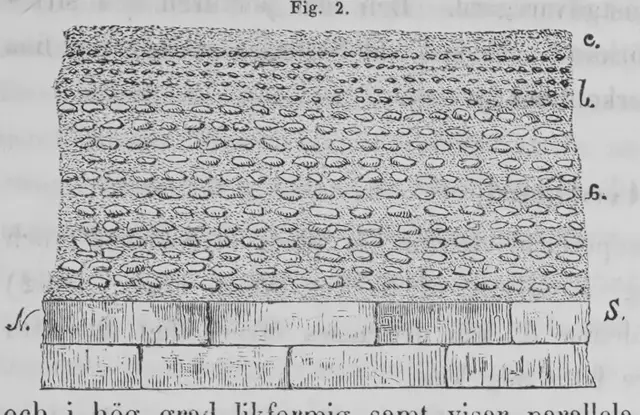 Illustration ur Iakttagelser öfver istiden i södra Sverige (1867), sida 21