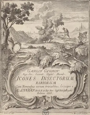Illustration ur Icones Insectorum Rariorum. Sectio Prima (1759), sida 11