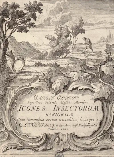 Icones Insectorum Rariorum. Sectio Prima omslag