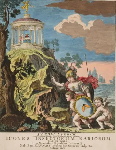 Illustration, sida 11